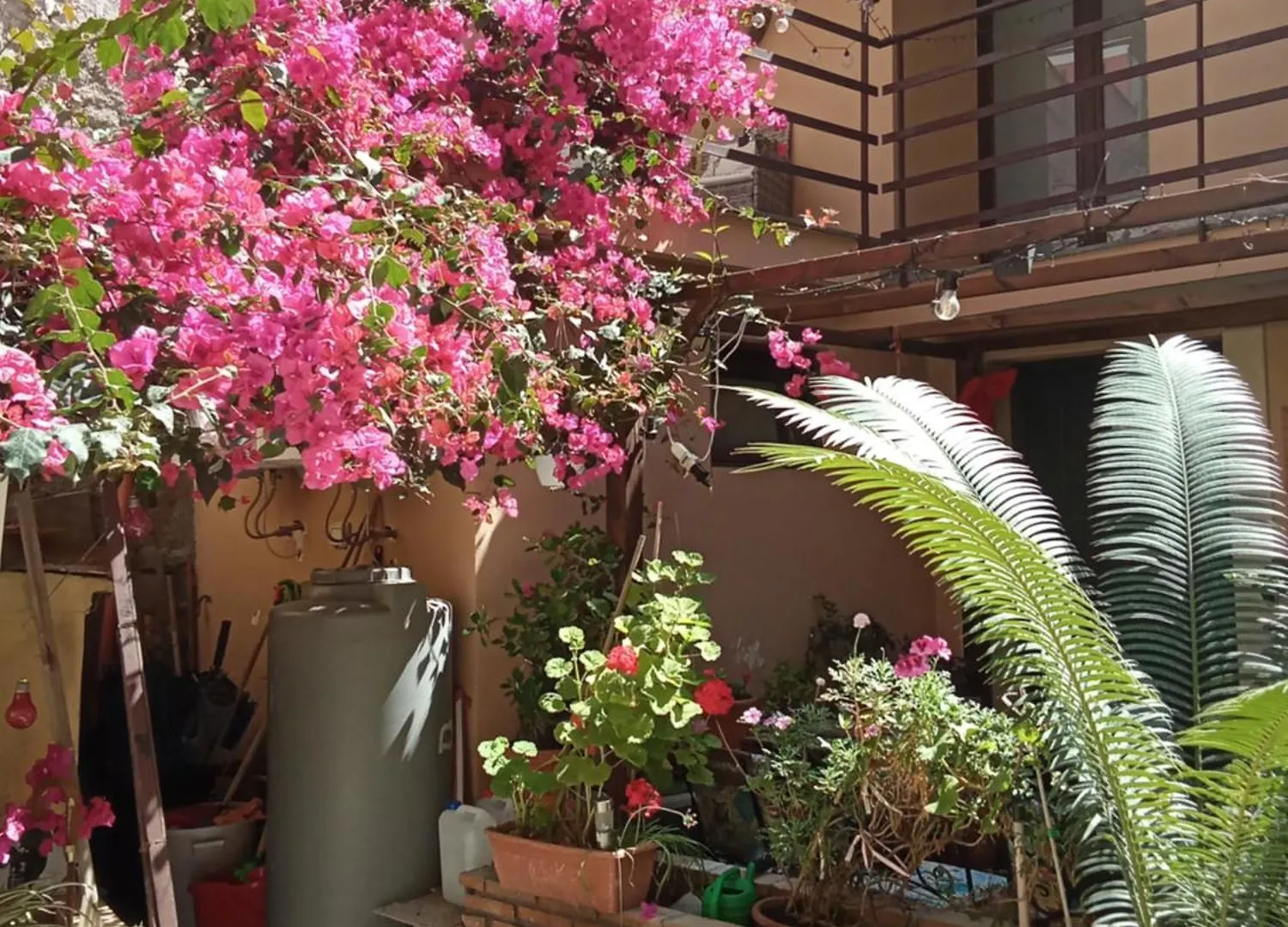 Pensión Mizzicahome Solemare Catania